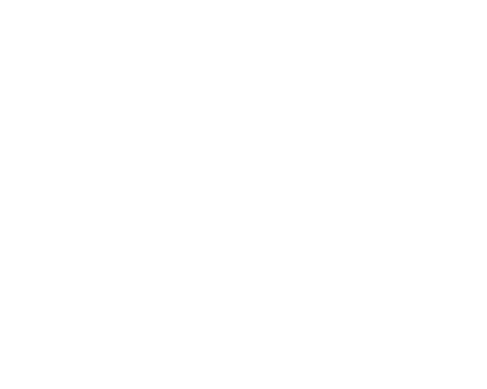 Surf Traced Image